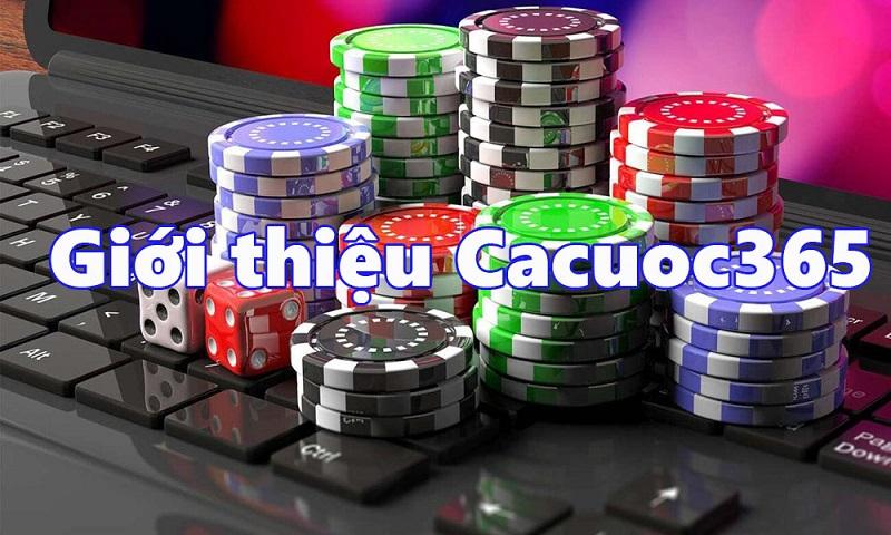 Khám phá top 5 game vui nhất thế giới khiến bạn không thể rời mắt