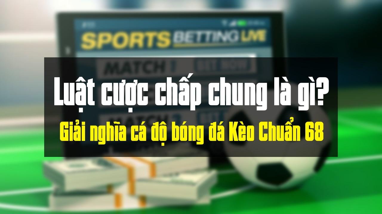 Khám phá cách chơi cờ vua trên máy tính dễ dàng và nâng cao kỹ năng chơi cờ vua